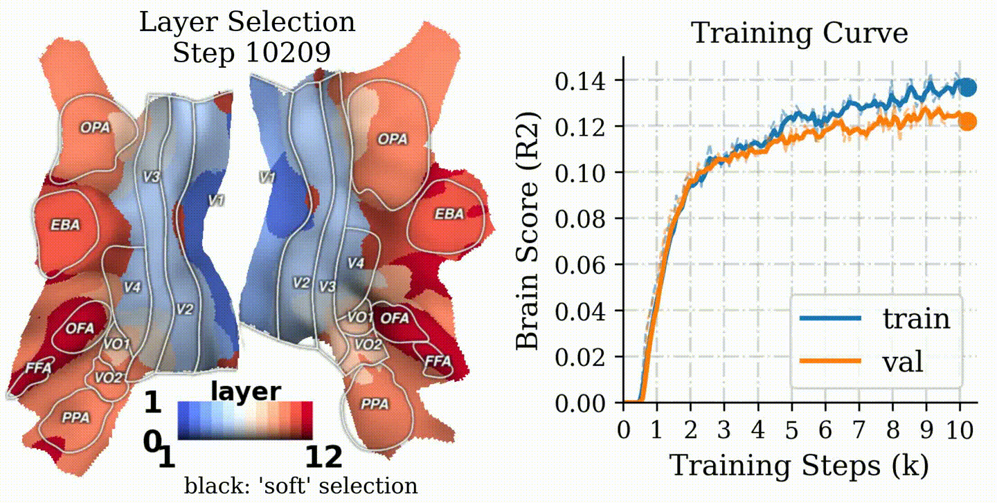 Learning process animation