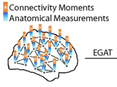 Interpretable multimodality embedding of cerebral cortex using attention graph network for identifying bipolar disorder