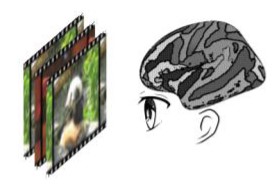 Upgrading Voxel-wise Encoding Model