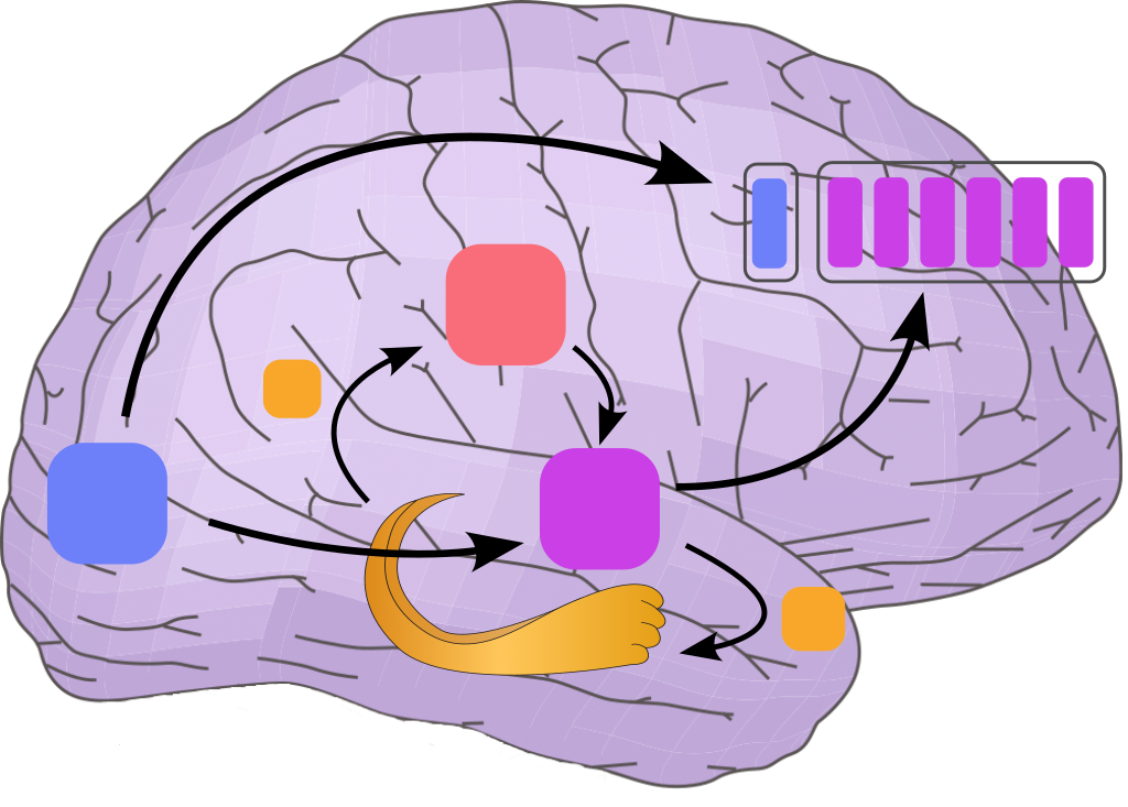 Memory Encoding Model