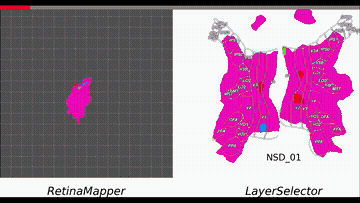 Retinotopy Inspired Brain Encoding Model